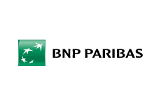 bnp-1.png